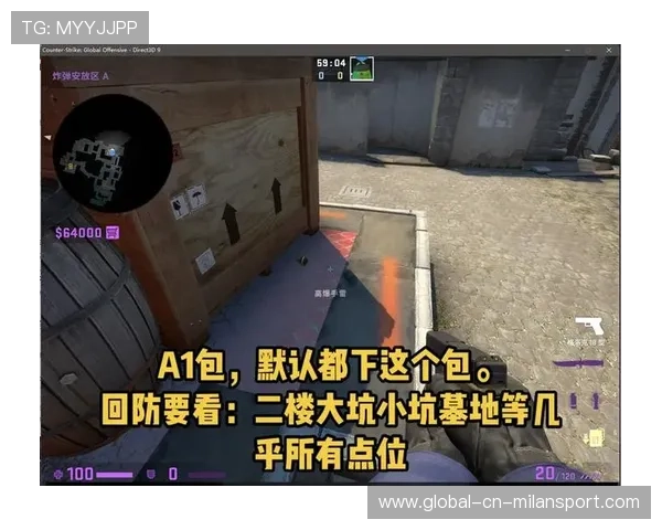 Inferno烟雾时间误判导致Vitality关键局失利